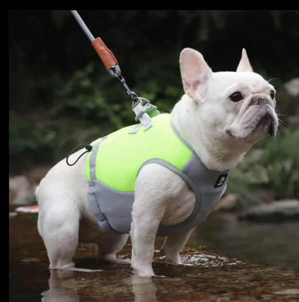 Dogs&amp;Co&reg; Verkoelend hondenvest Harnas Geel 