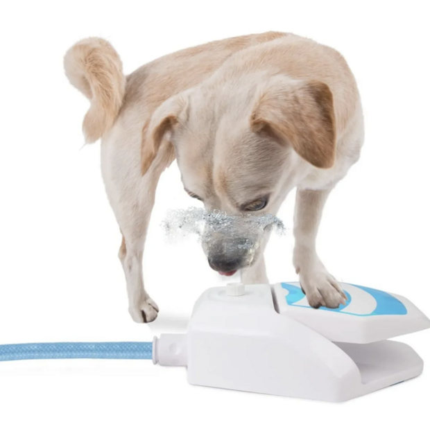 AFP Chill Out - Water Fountain