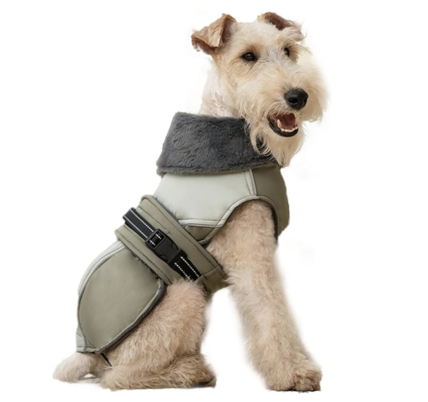 Dogs&amp;Co&reg; Honden winterjas groen met bontkraag