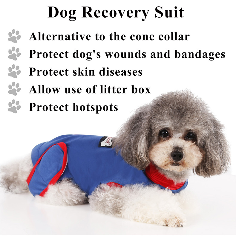 uitvinden verkoper nauwelijks Honden Romper voor na de operatie Blauw/Rood - Dogs & Co
