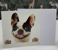 Dogs&Co Cadeaubonnen Dogs&Co Cadeaubonnen