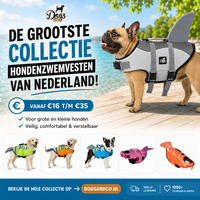 Hondenzwemvest voor je hond: waarom het onmisbaar is voor een veilige zomer