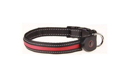 Led Hondenhalsband USB oplaadbaar ROOD
