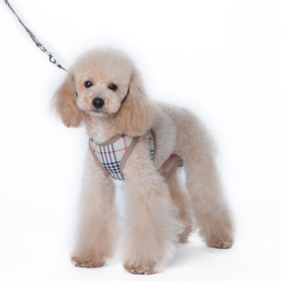 Dogs&Co Puppytuigje / Hondentuigje inclusief riem - ruit design