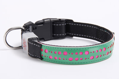 Led Hondenhalsband USB oplaadbaar GROEN met design