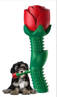 Bijtspeelgoed Rose Gift voor Kleine Honden of Puppies - Rood